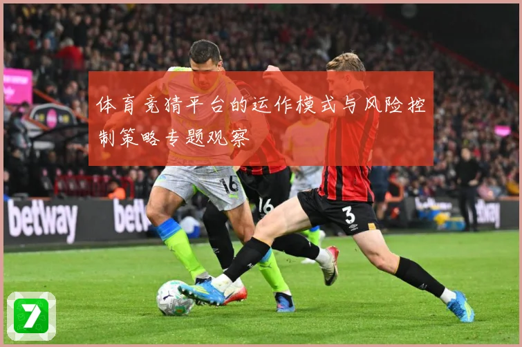 体育竞猜平台的运作模式与风险控制策略专题观察