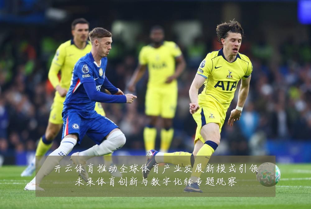 开云体育推动全球体育产业发展新模式引领未来体育创新与数字化转专题观察