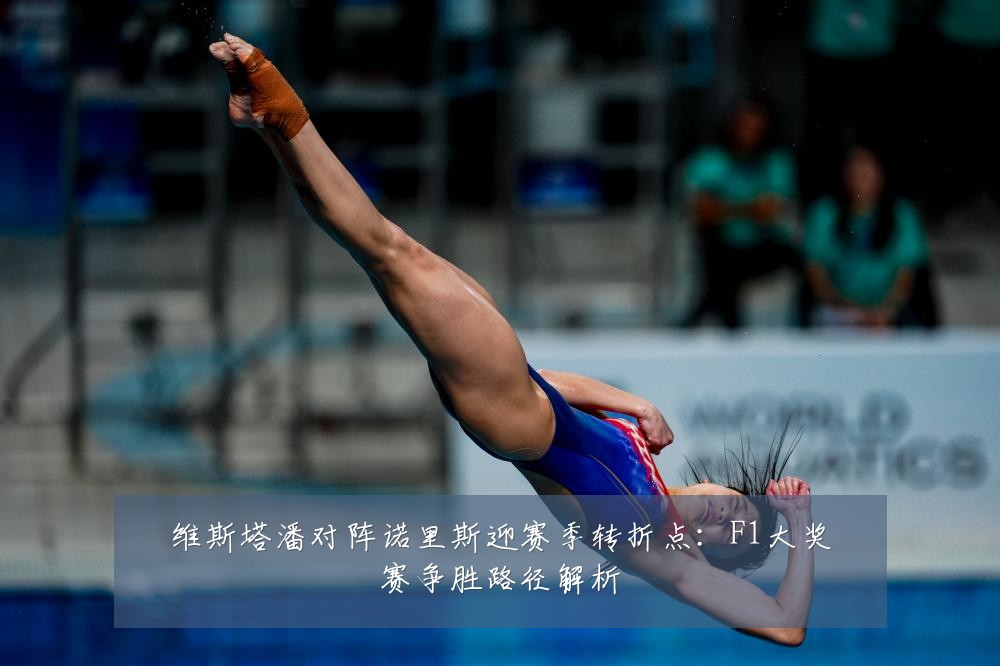 维斯塔潘对阵诺里斯迎赛季转折点：F1大奖赛争胜路径解析