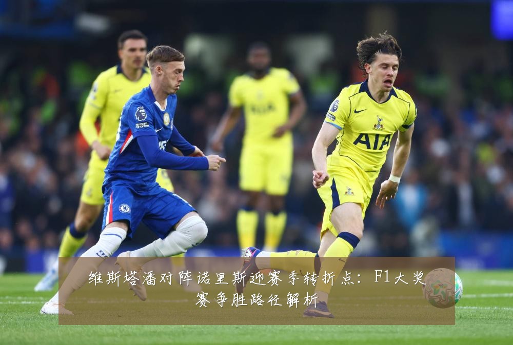 维斯塔潘对阵诺里斯迎赛季转折点：F1大奖赛争胜路径解析